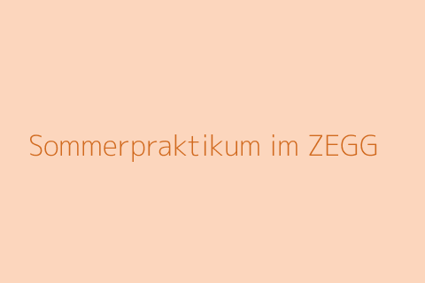 Sommerpraktikum im ZEGG